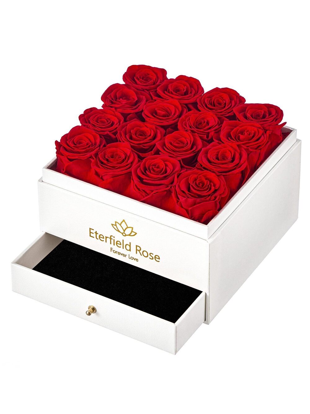1308 Forever Flowers Preserved Roses Real Roses That Last Over a Year Rose